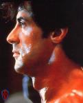 Bienvenue dans LE blog consacre  Sylvester Stallone. (Welcome in the blog of Sly Stallone).